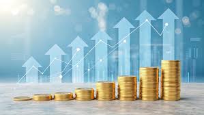 ORGANIZAÇÃO FINANCEIRA PARA INICIANTES: O PASSO A PASSO DEFINITIVO PARA COMEÇAR DO ZERO