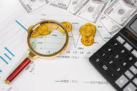 ORGANIZAÇÃO FINANCEIRA PARA INICIANTES: O PASSO A PASSO DEFINITIVO PARA COMEÇAR DO ZERO